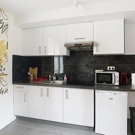 Le Chatoyant, Sur L'ile De Melun